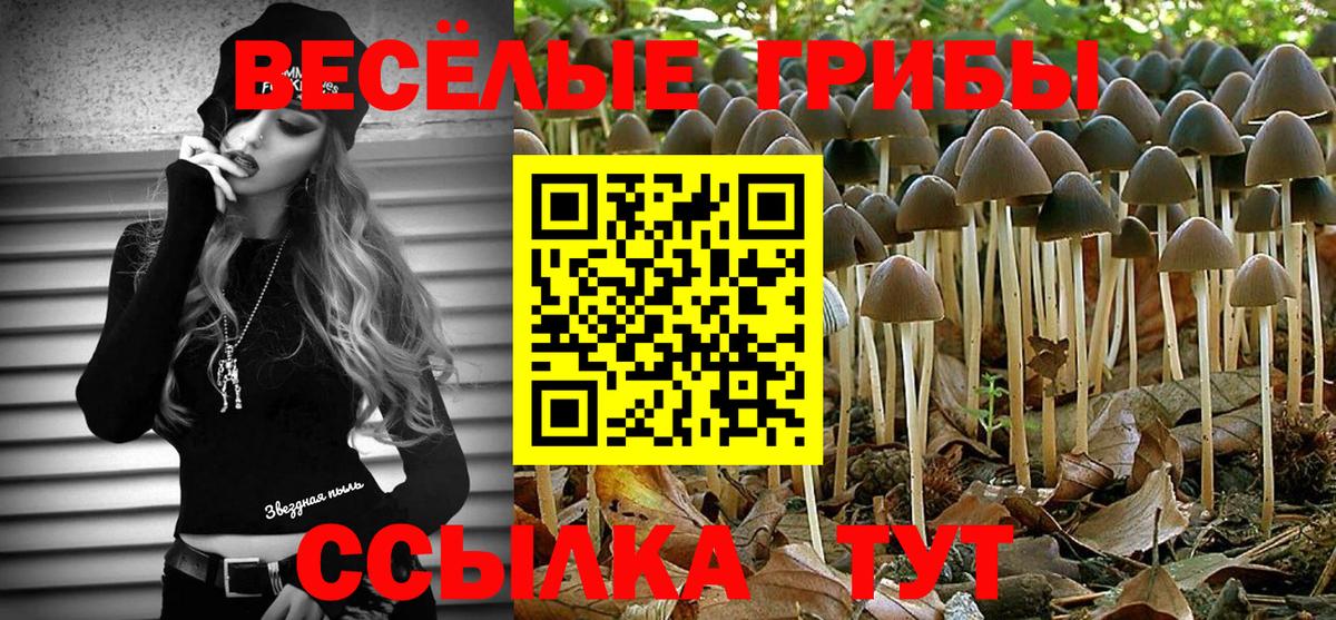 Псилоцибиновые грибы мицелий Ступино