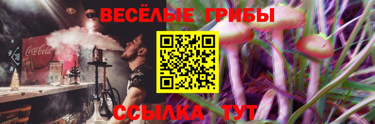 Псилоцибиновые грибы прущие грибы  Вход с VPN  купить наркоту  Ступино 